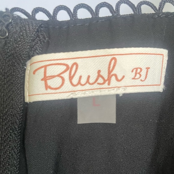 Blush BJ Black Floral Lace Trim Crop Top – Bustier Crop, Zipper Back, Size L - Picture 3 of 9